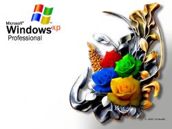 Windows-Crazy Roses Original